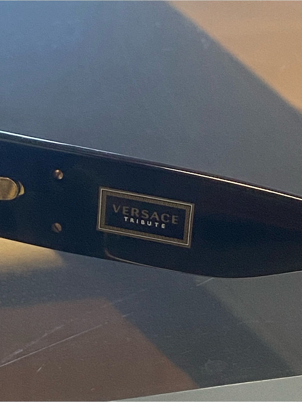 Versace Tribute Men's Black and Gold Sunglasses